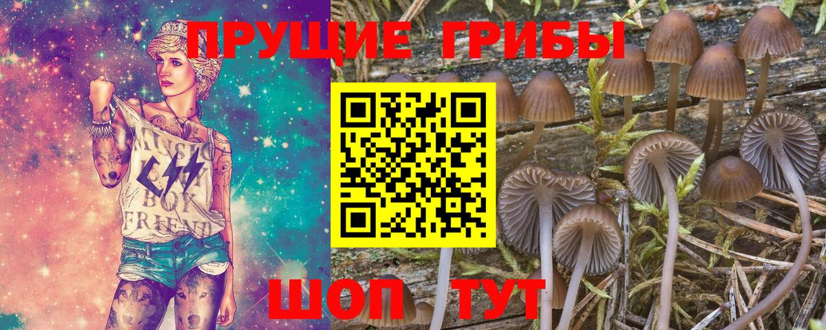 Псилоцибиновые грибы прущие грибы Наро-Фоминск